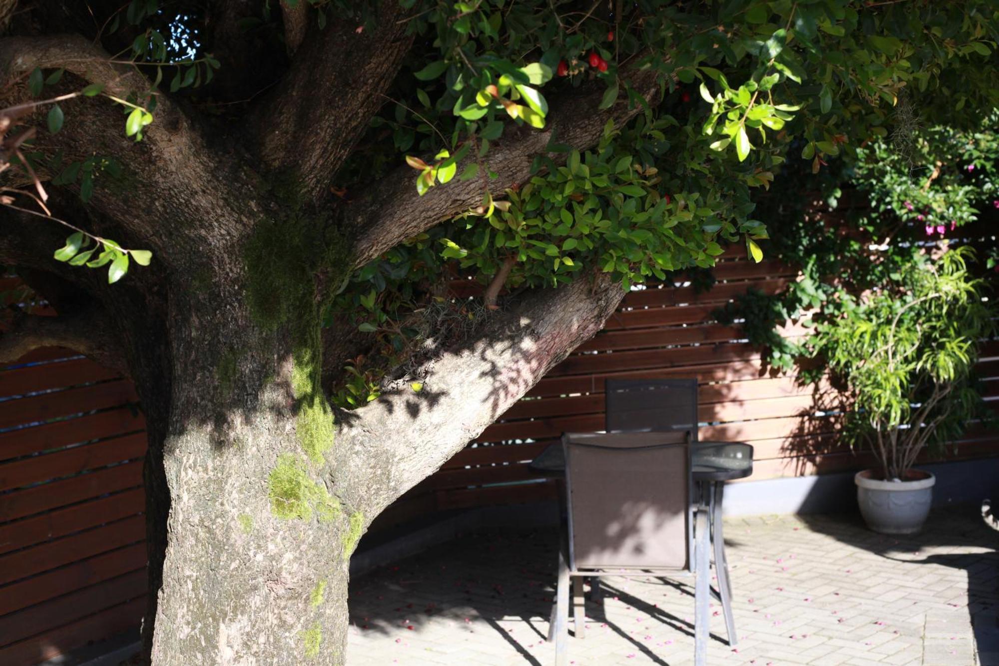 Reef View Bnb East London Dış mekan fotoğraf